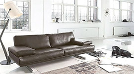 Ledersofa Hamburg